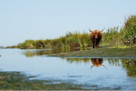 Nederlands landschap verrast Nederlander