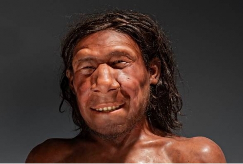 RMO geeft eerste Neanderthaler van Nederland een gezicht