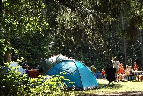 Cursus biodiversiteit versterken op het vakantiepark krijgt vervolg