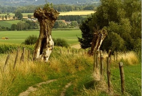 Limburg haakt aan op 10.000 km hike Liberation Route