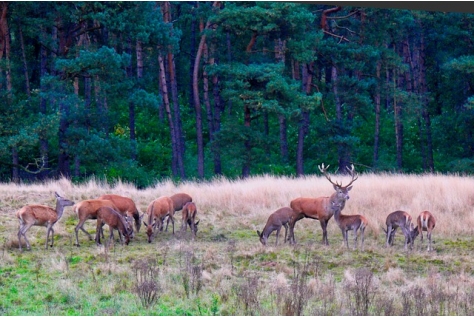 Grote betrokkenheid vormt recreatiezoneringsplan