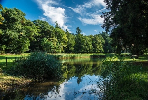 Natuur als remedie tegen burn-out