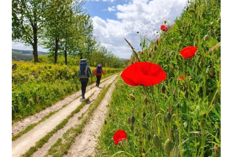 Longlist Wandelroute van het Jaar 2022