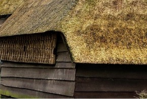 Bekende Drentse museumboerderij ouder dan gedacht