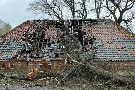 Stormen leiden tot grote schade in Utrechts Landschap