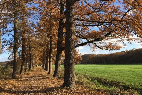 Nationaal Park Utrechtse Heuvelrug lanceert kennisbank