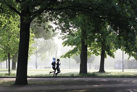 Helft van de Nederlanders voldoet aan beweegrichtlijn