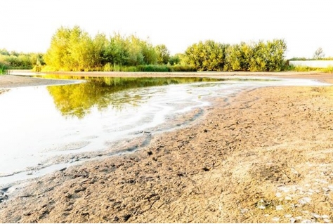 Natuur heeft snel water nodig