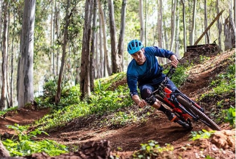 Bijzondere natuur legt mountainbikeroutes Sallandse Heuvelrug stil