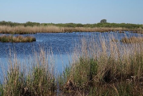 Sterke Lekdijk met veel recreatie