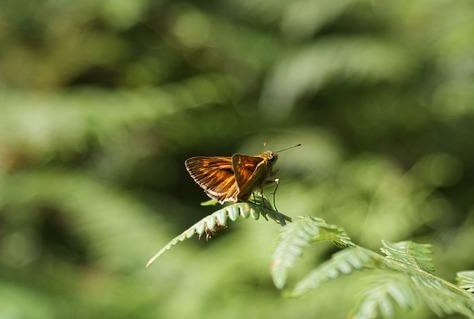 Bedrijventerrein wordt ecologische verbinding