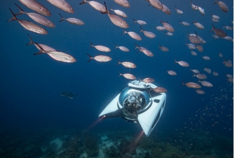 NEMO voor het eerst te zien in Nederland