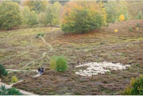 Toerisme Veluwe Arnhem Nijmegen lanceert bezoekersinformatie monitor