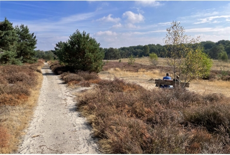 Oktober uitgeroepen tot ‘maand van het onverharde pad'