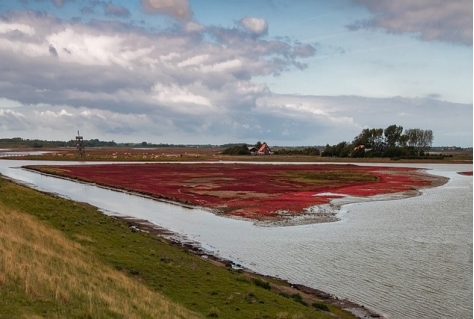 Schelde Delta gaat voor titel Geopark