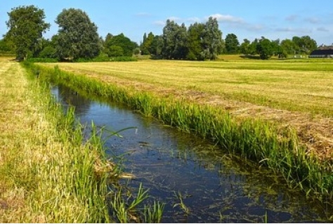 Recreatiebedrijf wordt teruggegeven aan de natuur