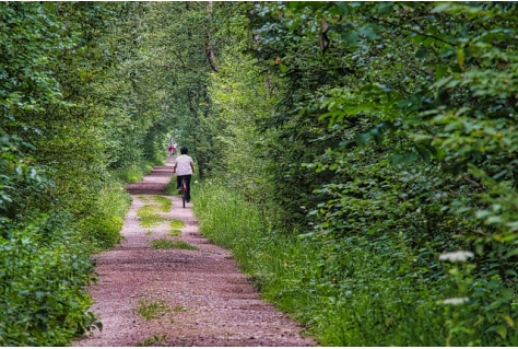 Natuur- en recreatiegebieden in provincie Utrecht scoren gemiddeld een 7,9