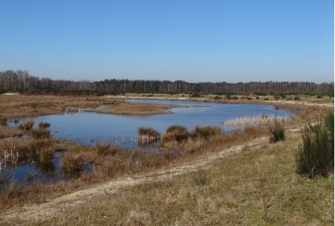 Natuurdoelen Brabant Natura 2000 worden niet gehaald en leidt tot bouwstop