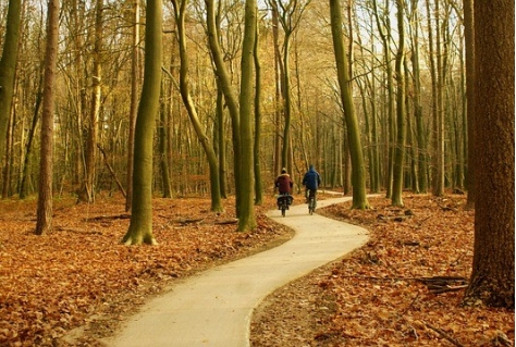 Veluwe op 1, een duurzaam netwerk?