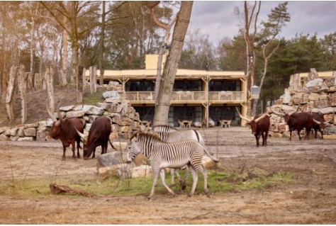 Safari Hotel Beekse Bergen officieel geopend tijdens feestelijke ceremonie