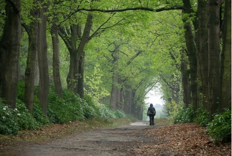 Toeristisch-recreatieve werkgelegenheid in Overijsel bijna weer op niveau