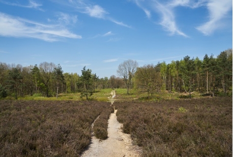 Utrecht haalt natuurdoelen niet