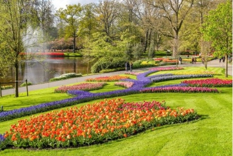 Keukenhof 2023 weer terug op topniveau