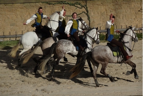 Meppel: liever attractiepark Puy du Fou dan weer een bedrijventerrein