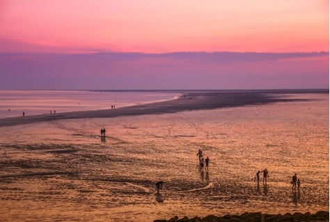 Ruim baan voor natuur en erfgoed in de Waddenzee