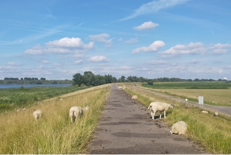 Natuurinclusief is ook mensinclusief