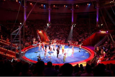 Welk beeld heeft het hooggeëerd publiek van het klassieke en hedendaagse circus? 