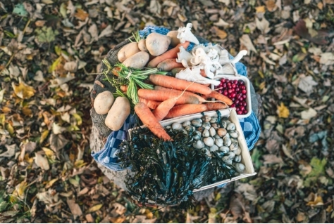 Voorproefje Culinaire Wadden Weken met 22 nieuwe foodroutes