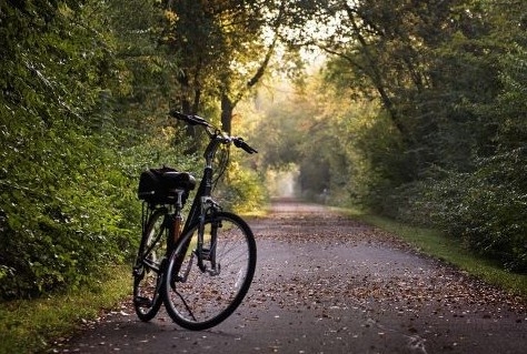 Fietsvakantie in eigen land steeds populairder