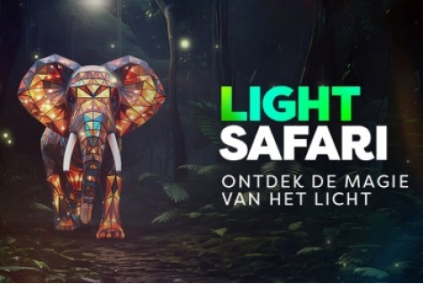 Beekse Bergen start met ‘Light Safari’ in de wintermaanden