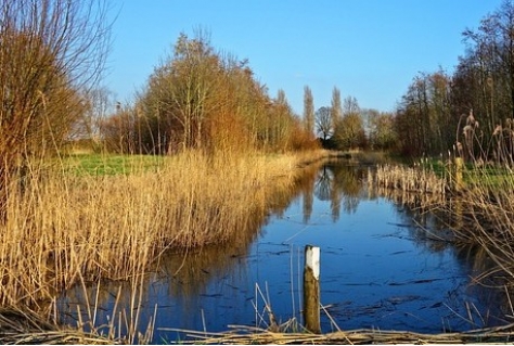 Noord-Holland natuurnetwerk bijna af