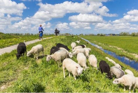 Ruimte voor Recreatie en Toerisme; een leidraad voor een betere integratie van recreatie en toerisme in ruimtelijk beleid, plannen en projecten.