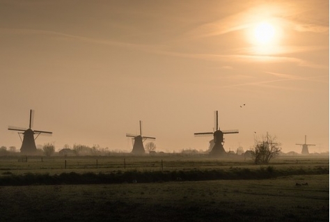 Zuid-Holland koopt Natura-2000 Kinderdijk