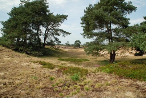 150.000 inwoners Drenthe zetten zich in voor hun leefomgeving