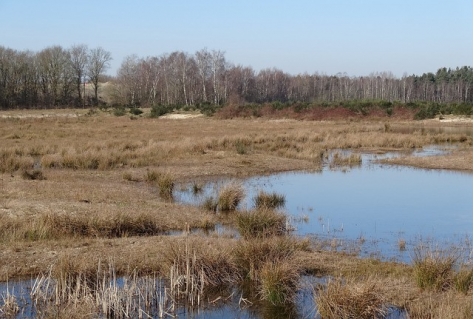 Brabant wil open blijven maar zit knel door stikstof