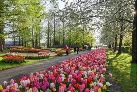 Keukenhof zoekt voorwerpen 75 jaar Keukenhof