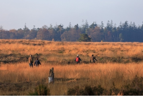 Van Hoge Veluwe naar Bruto Veluwe