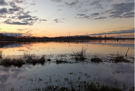 Natuurmonumenten vraagt om meer recreatieruimte