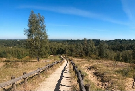 Meewandelen met Marin Goossen in Nationale Parken