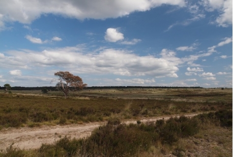 Geld voor drie recreatievie projecten op de Veluwe