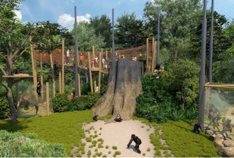Hoogste punt bereikt bouw Chimpanseevallei Dierenpark Amersfoort