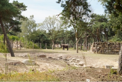 Beekse Bergen rond project Olifantenvallei af