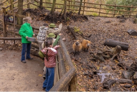 ZooParc Overloon zamelt recordbedrag in voor natuurbeschermingsprojecten