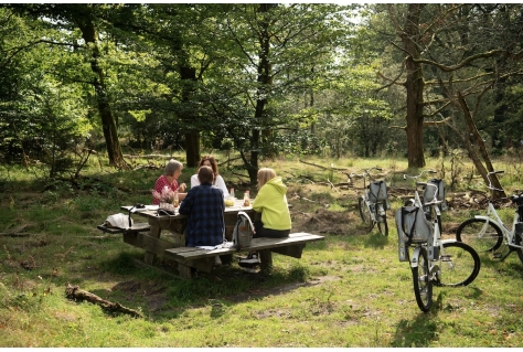 Vakantieparken van grote economische betekenis voor de Veluwe