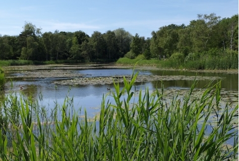 Inzicht in toeristisch-recreatief bezoek en draagkracht voor natuurgebieden