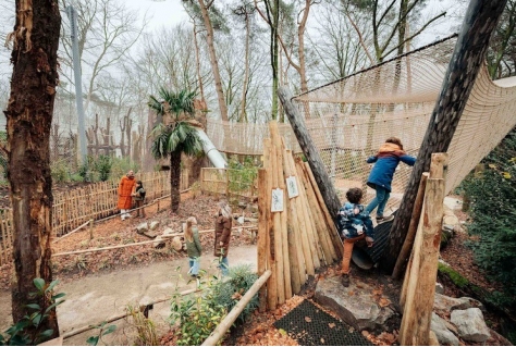 DierenPark Amersfoort opent nieuwe Chimpanseevallei